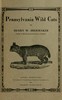 Pennsylvania wild cats