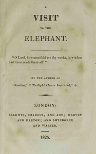 A visit to the elephant