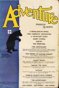 Magpie's night-bear